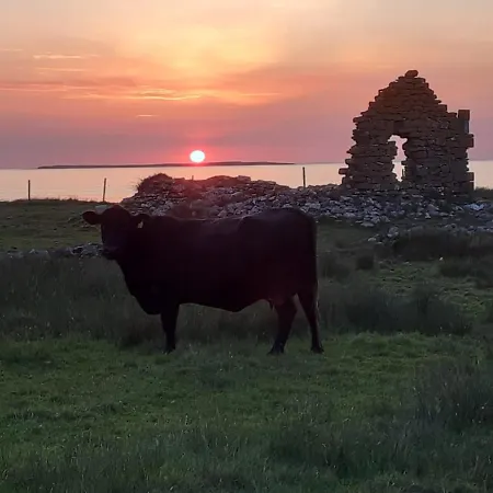 Hébergement de vacances Beezies Self Catering *